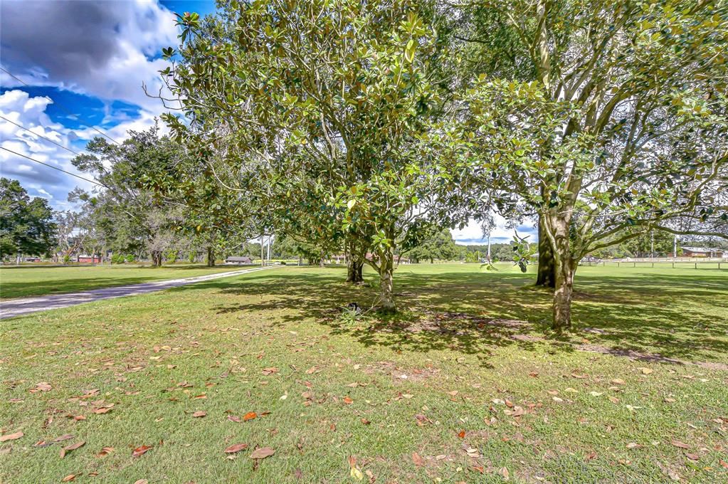 For Sale: $599,000 (3 beds, 2 baths, 2558 Square Feet)