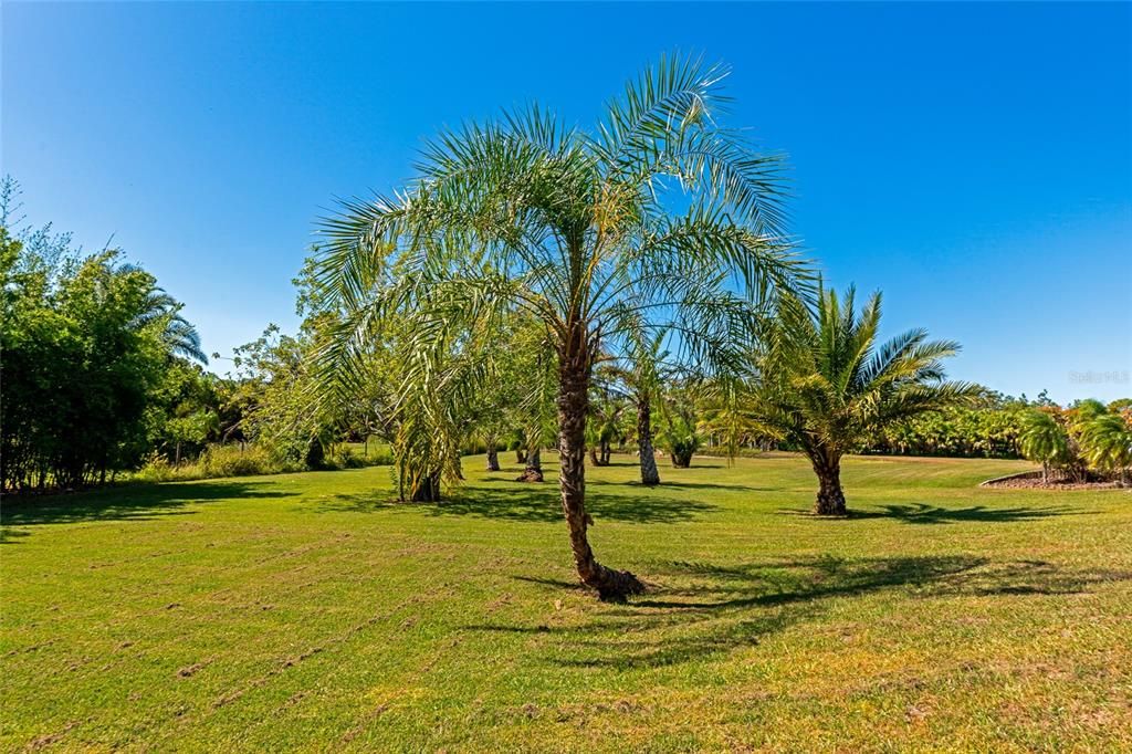 Activo con contrato: $875,000 (3 camas, 2 baños, 2405 Pies cuadrados)