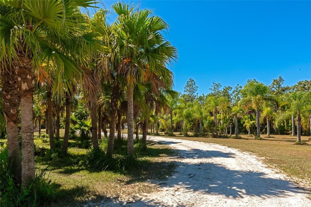 Activo con contrato: $875,000 (3 camas, 2 baños, 2405 Pies cuadrados)