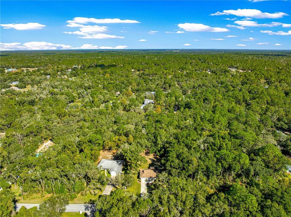 待售: $320,000 (3 贝兹, 2 浴室, 1256 平方英尺)