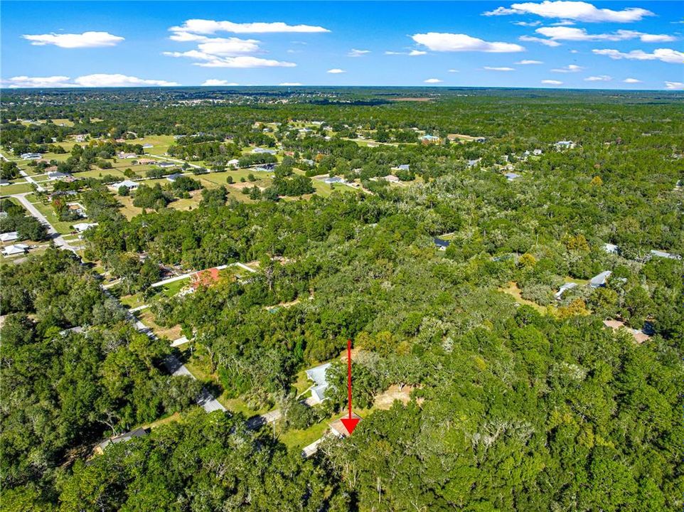 待售: $320,000 (3 贝兹, 2 浴室, 1256 平方英尺)