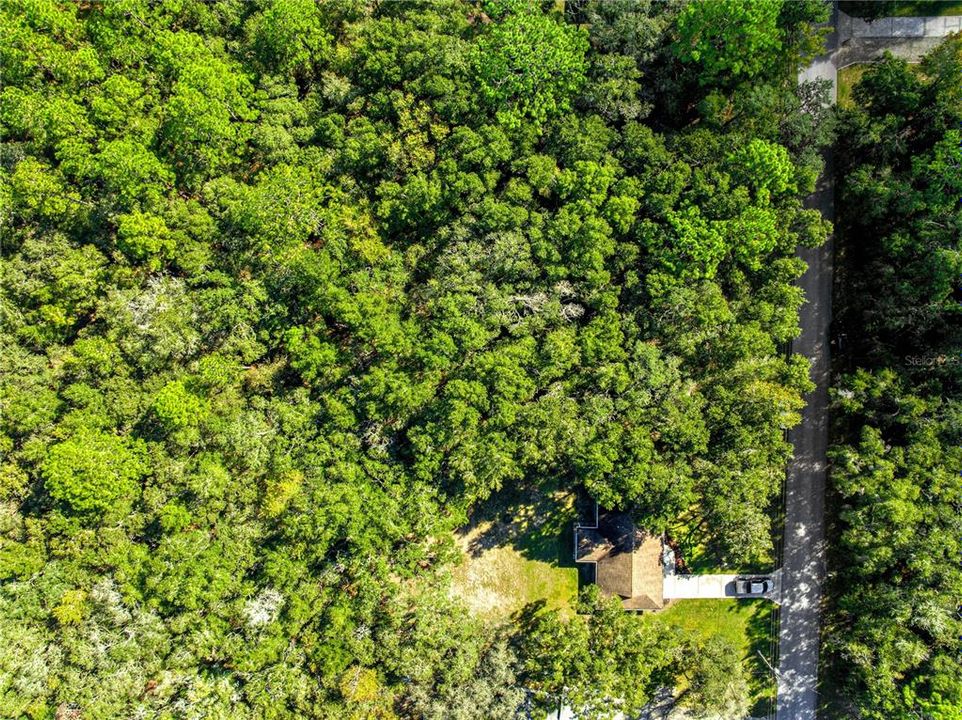 待售: $320,000 (3 贝兹, 2 浴室, 1256 平方英尺)