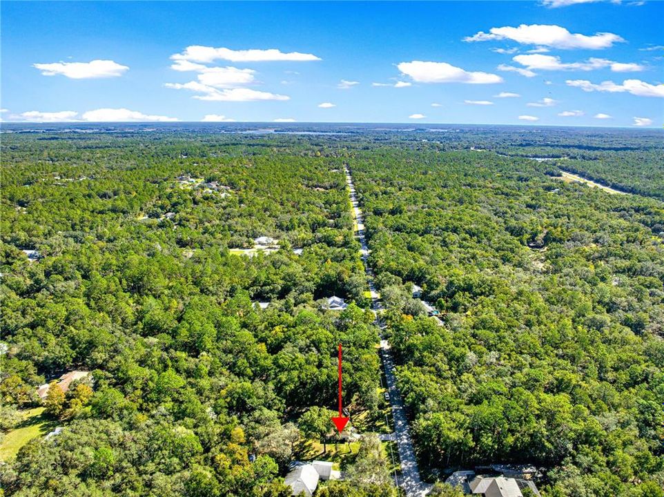 待售: $320,000 (3 贝兹, 2 浴室, 1256 平方英尺)