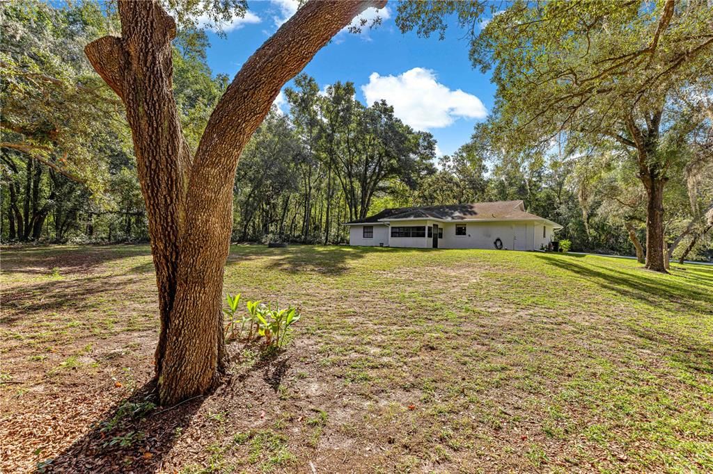 待售: $320,000 (3 贝兹, 2 浴室, 1256 平方英尺)