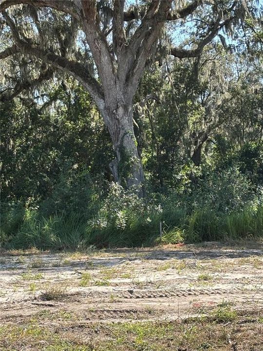 На продажу: $375,000 (0.25 acres)