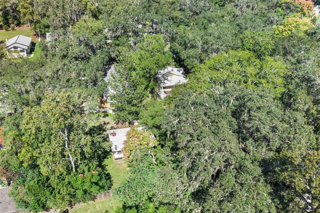 На продажу: $425,000 (3 спален, 2 ванн, 1677 Квадратных фут)