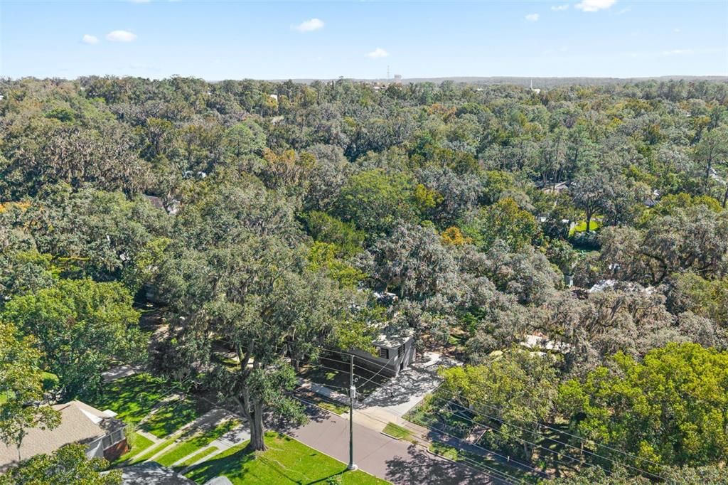 На продажу: $425,000 (3 спален, 2 ванн, 1677 Квадратных фут)