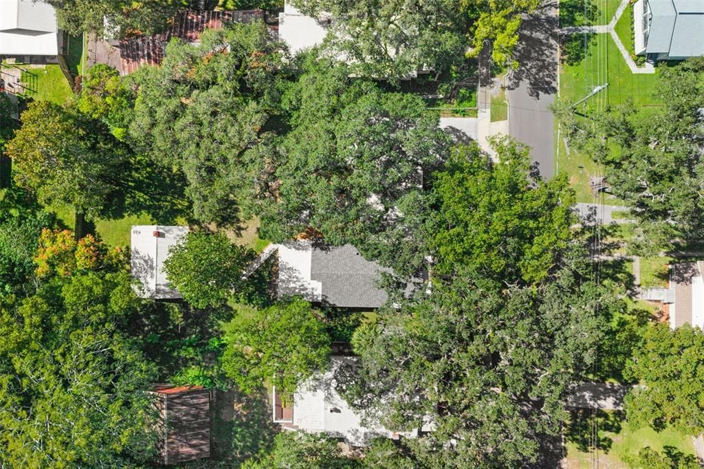 На продажу: $425,000 (3 спален, 2 ванн, 1677 Квадратных фут)