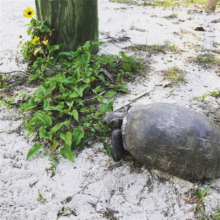 For Sale: $675,000 (3 beds, 2 baths, 1260 Square Feet)