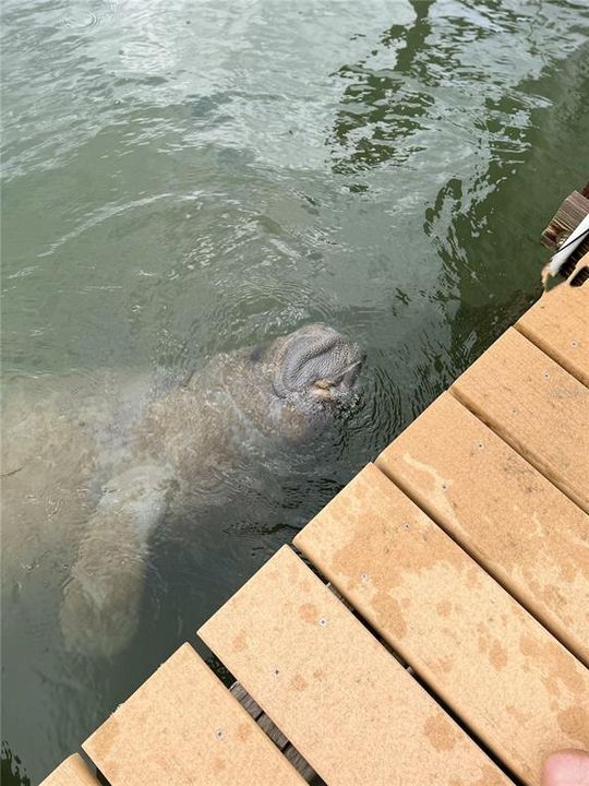 For Sale: $675,000 (3 beds, 2 baths, 1260 Square Feet)