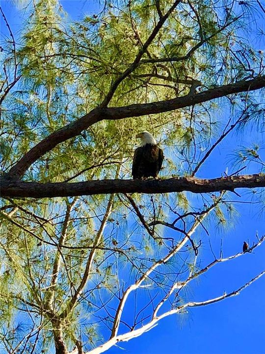 For Sale: $675,000 (3 beds, 2 baths, 1260 Square Feet)