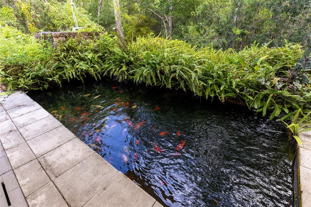 For Sale: $1,495,000 (5 beds, 4 baths, 4333 Square Feet)