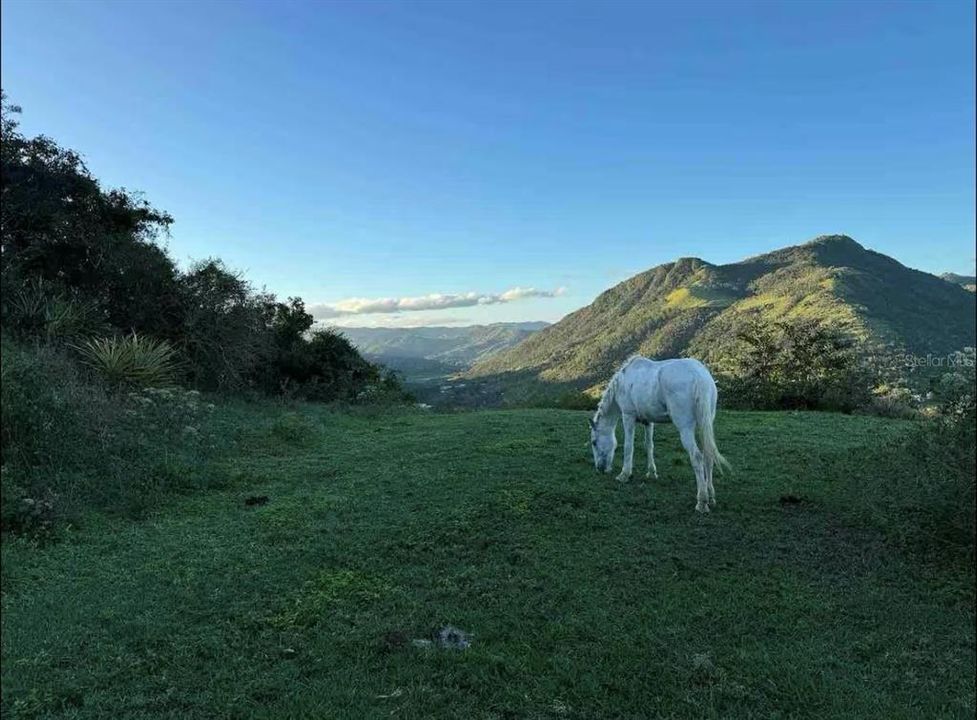 For Sale: $1,600,000 (0 beds, 0 baths, 0 Square Feet)