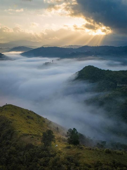 For Sale: $1,600,000 (0 beds, 0 baths, 0 Square Feet)