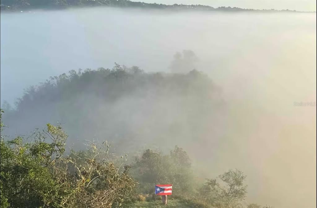 For Sale: $1,600,000 (0 beds, 0 baths, 0 Square Feet)