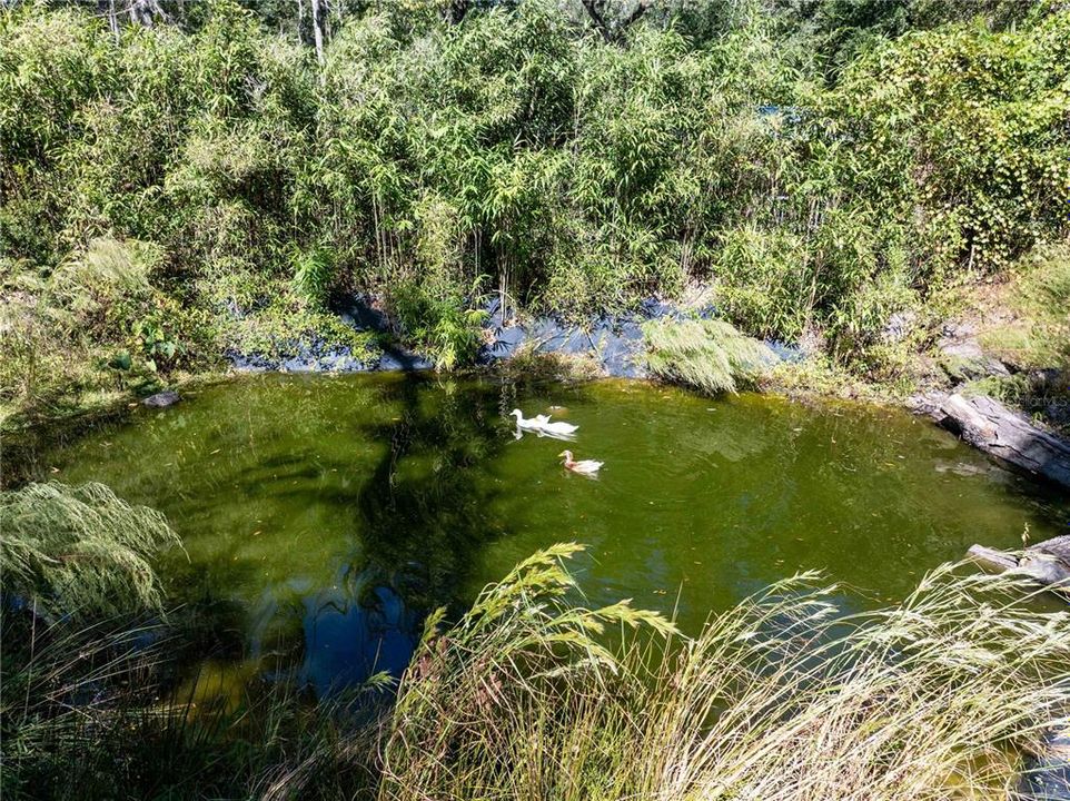 待售: $679,900 (3 贝兹, 2 浴室, 2635 平方英尺)