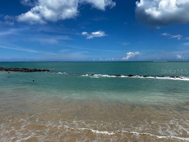 出租: $3,500 (3 贝兹, 2 浴室, 1700 平方英尺)