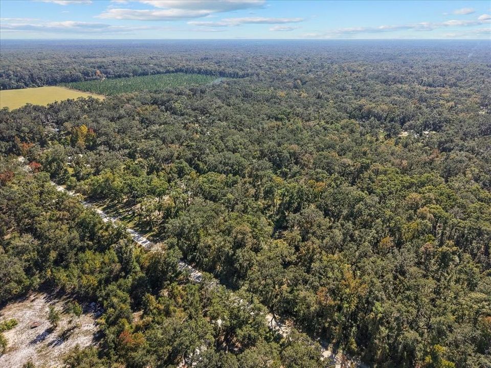 待售: $199,900 (3 贝兹, 2 浴室, 1296 平方英尺)