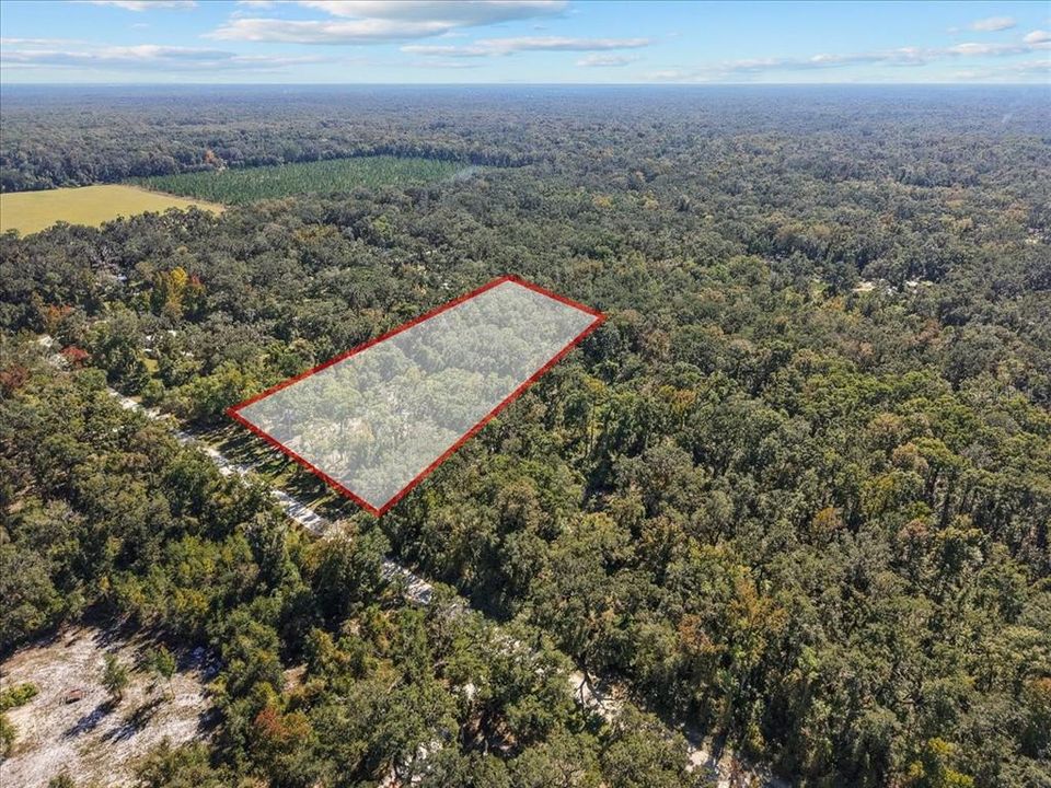 待售: $199,900 (3 贝兹, 2 浴室, 1296 平方英尺)