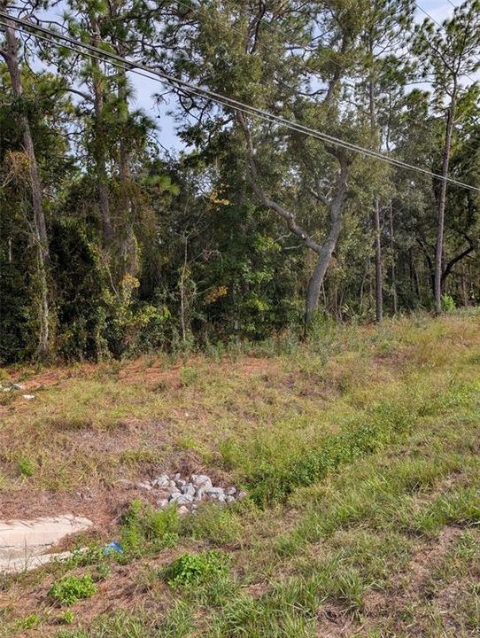 For Sale: $268,000 (5.45 acres)