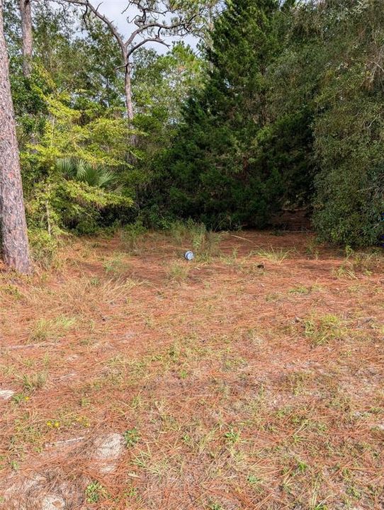 For Sale: $268,000 (5.45 acres)