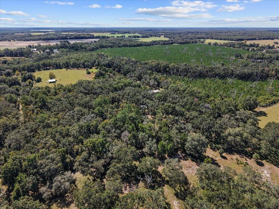 合同活跃: $124,500 (3 贝兹, 1 浴室, 976 平方英尺)