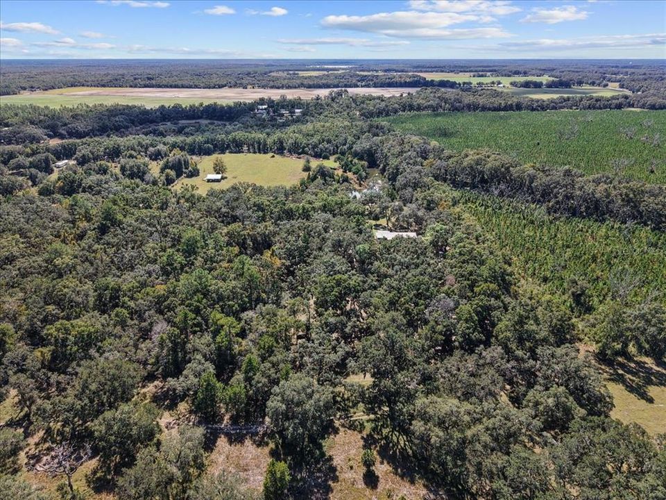 合同活跃: $124,500 (3 贝兹, 1 浴室, 976 平方英尺)