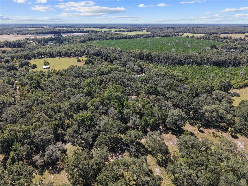 合同活跃: $124,500 (3 贝兹, 1 浴室, 976 平方英尺)