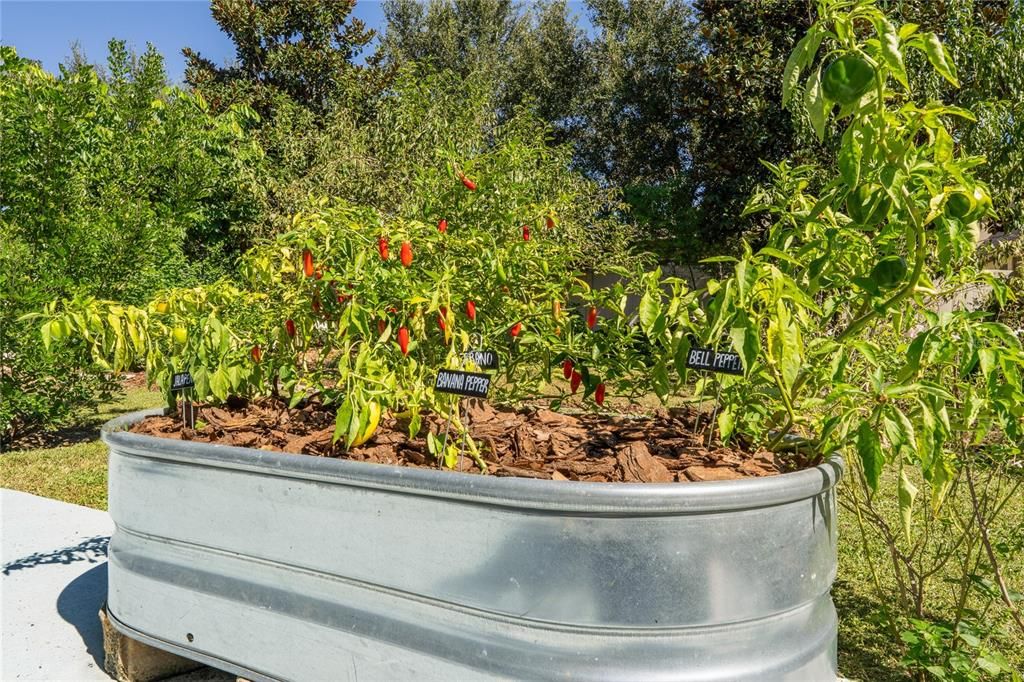 For Sale: $532,000 (4 beds, 2 baths, 2892 Square Feet)