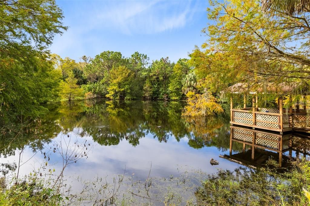 En Venta: $649,000 (3 camas, 2 baños, 1429 Pies cuadrados)