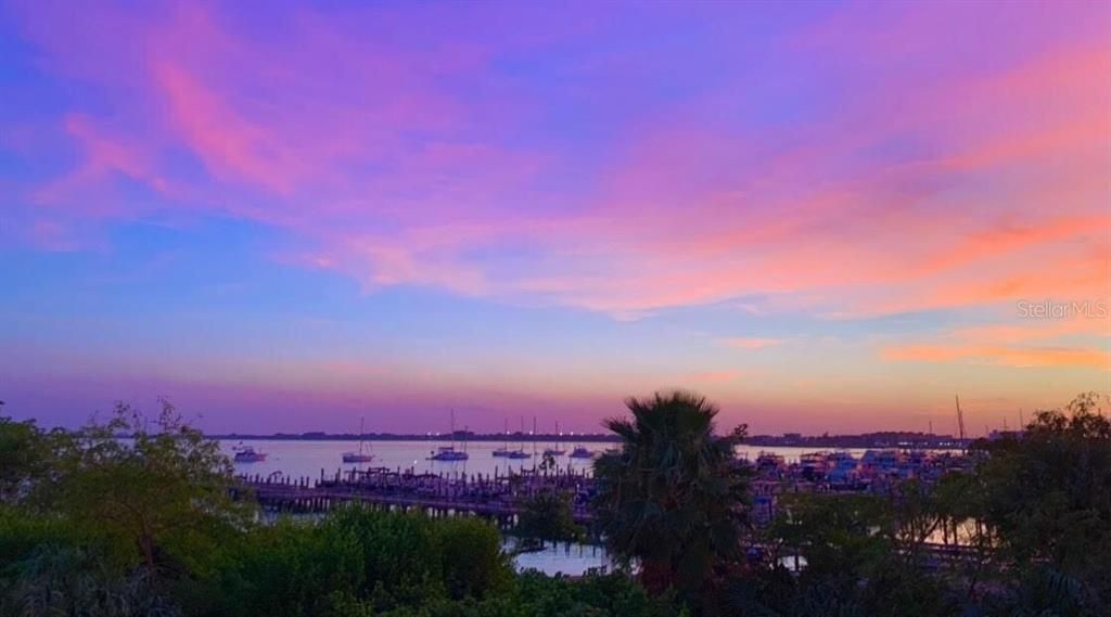 出租: $2,500 (2 贝兹, 2 浴室, 1989 平方英尺)