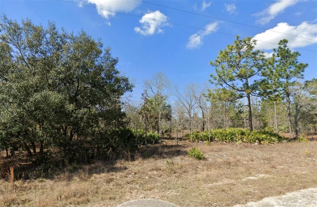 Active With Contract: $29,900 (0.48 acres)