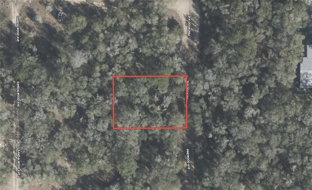 For Sale: $8,995 (0.23 acres)