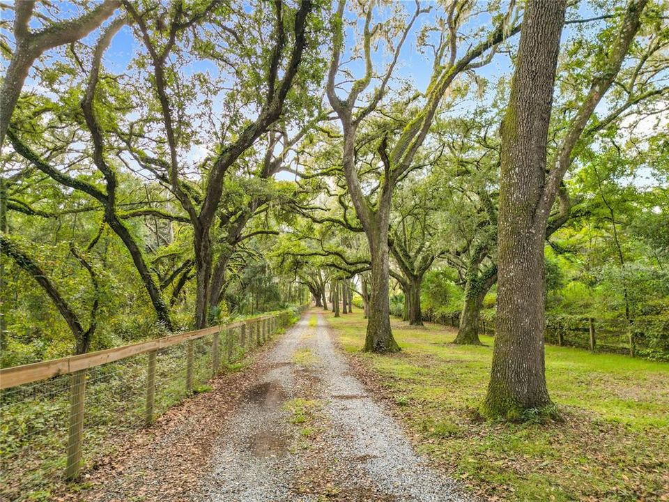 Active With Contract: $649,000 (3 beds, 2 baths, 2252 Square Feet)