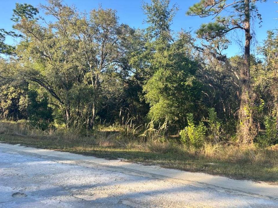 For Sale: $50,000 (1.16 acres)