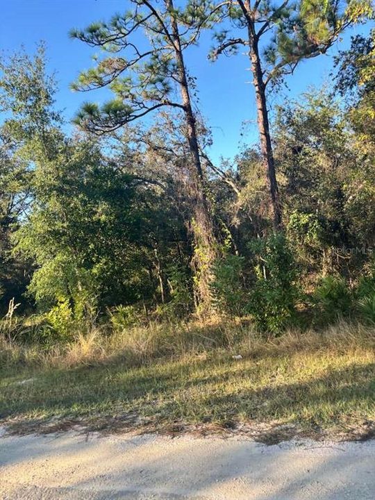 For Sale: $50,000 (1.16 acres)