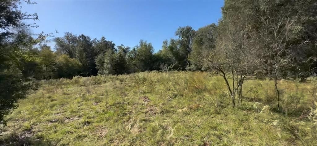 For Sale: $9,000 (0.23 acres)