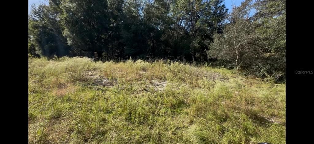 For Sale: $9,000 (0.23 acres)