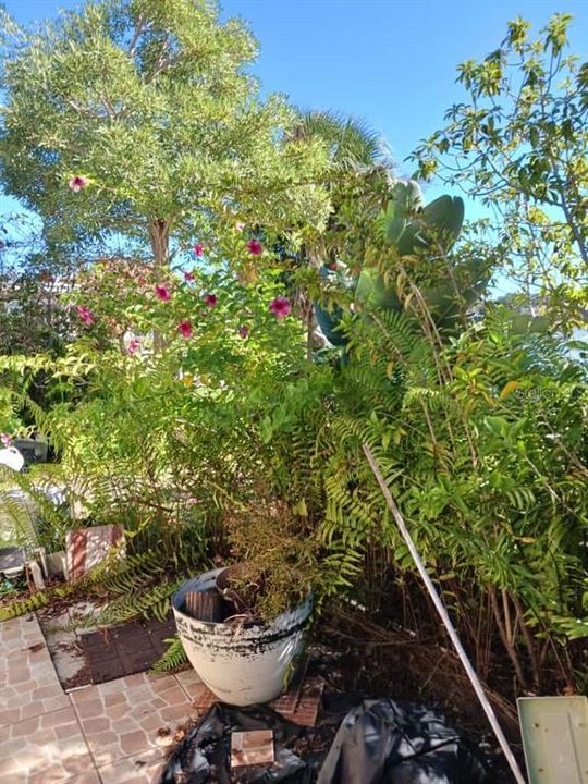 待售: $114,900 (1 贝兹, 2 浴室, 802 平方英尺)