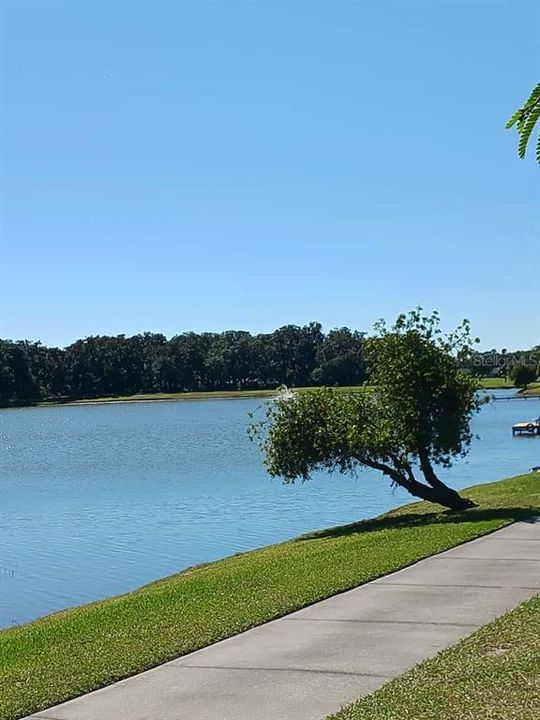 待售: $114,900 (1 贝兹, 2 浴室, 802 平方英尺)