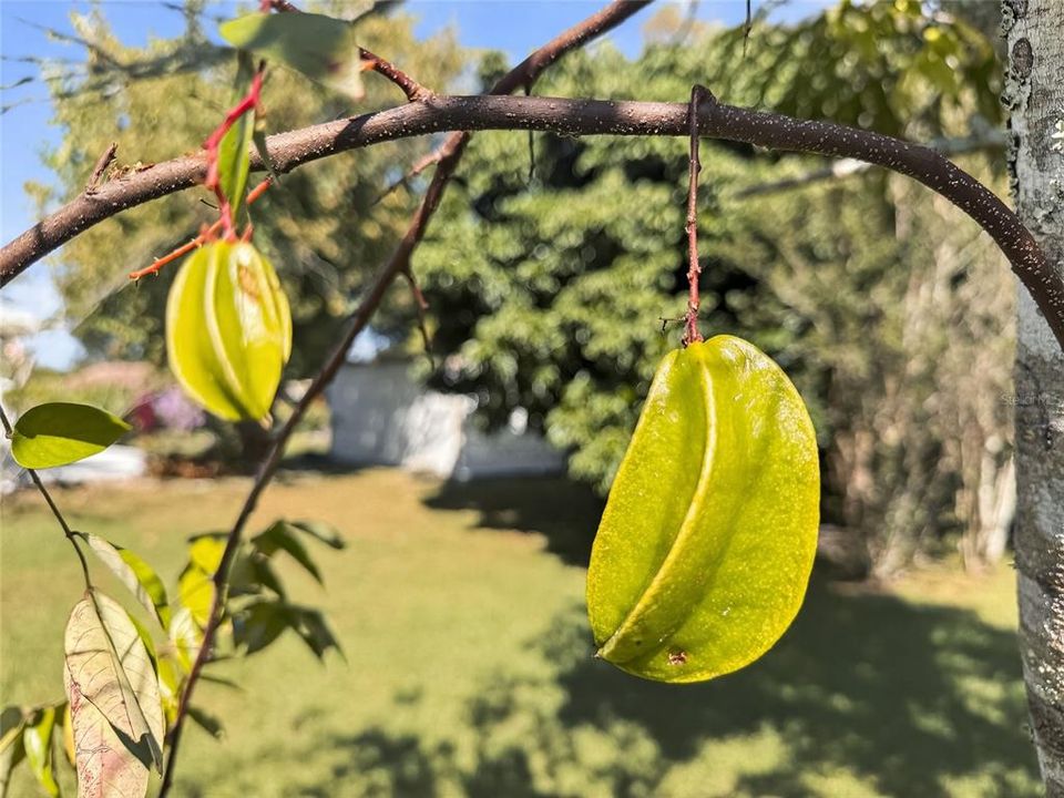 合同活跃: $376,000 (3 贝兹, 2 浴室, 1427 平方英尺)