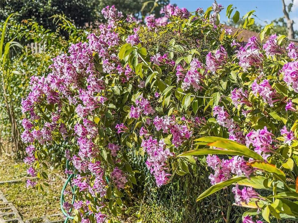 合同活跃: $376,000 (3 贝兹, 2 浴室, 1427 平方英尺)