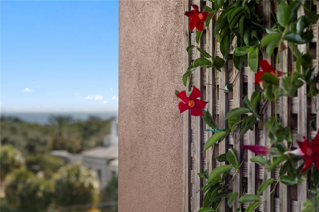 待售: $1,695,000 (2 贝兹, 2 浴室, 2619 平方英尺)