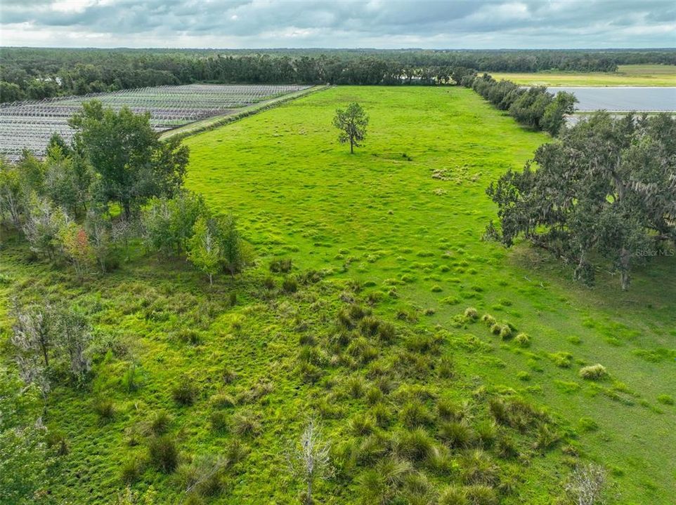 For Sale: $450,000 (7.87 acres)
