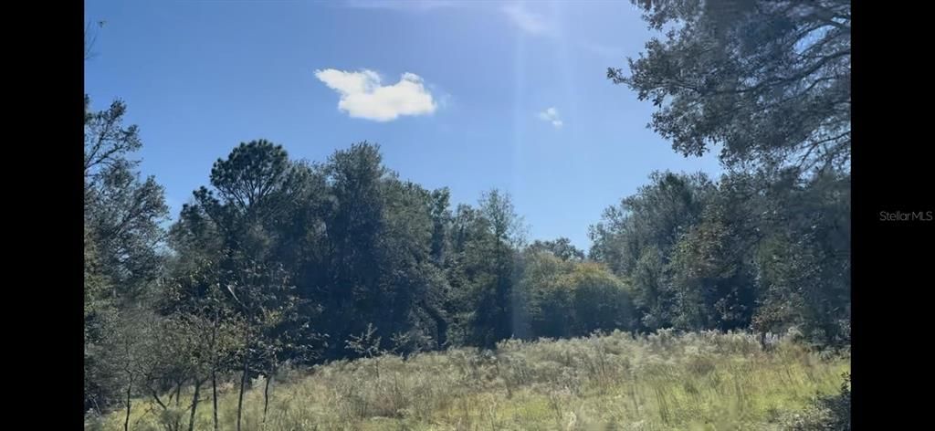 For Sale: $9,000 (0.23 acres)