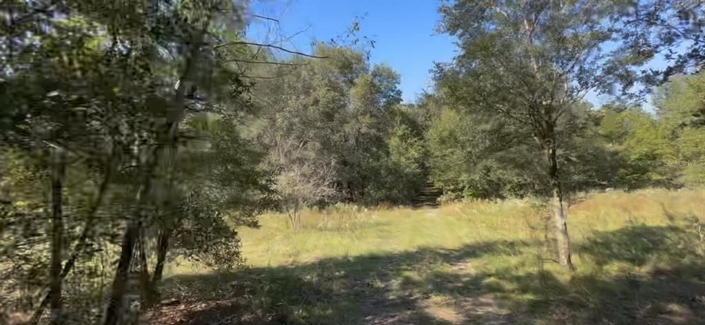 For Sale: $9,000 (0.23 acres)