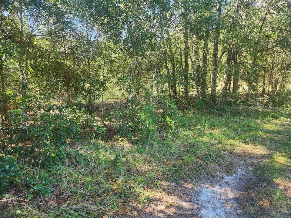 For Sale: $9,000 (0.23 acres)