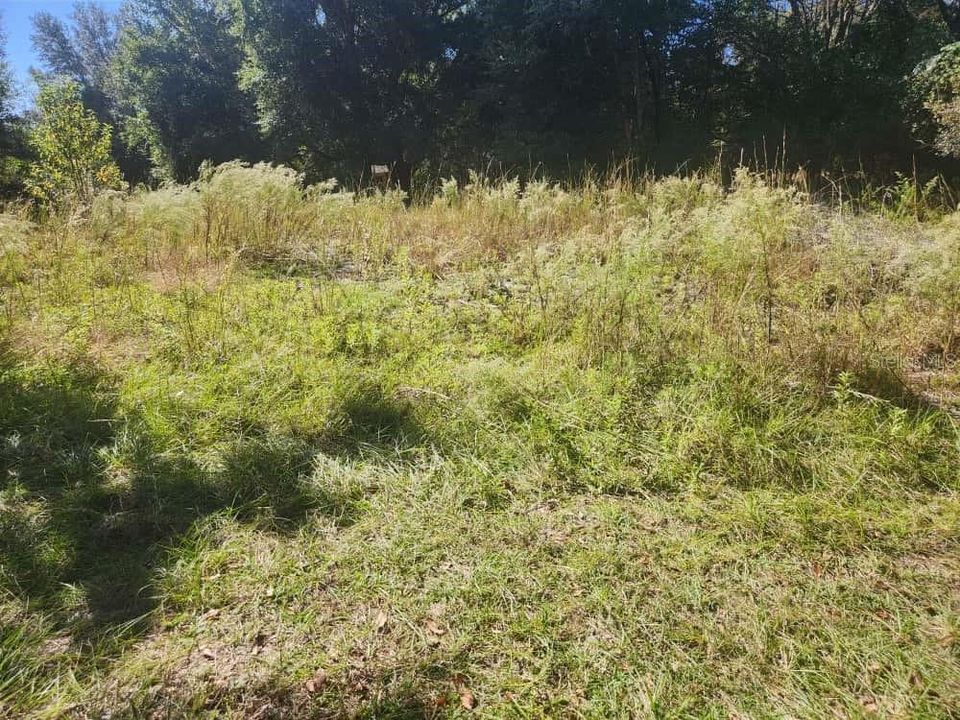 For Sale: $9,000 (0.23 acres)