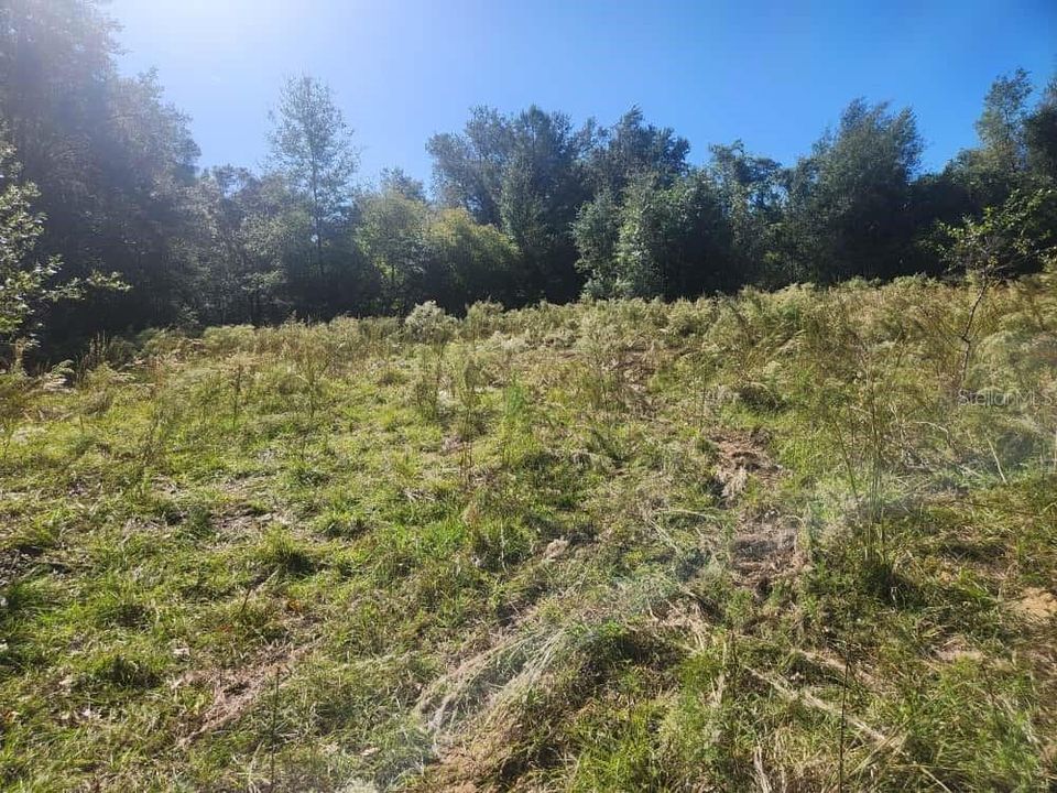 For Sale: $9,000 (0.23 acres)