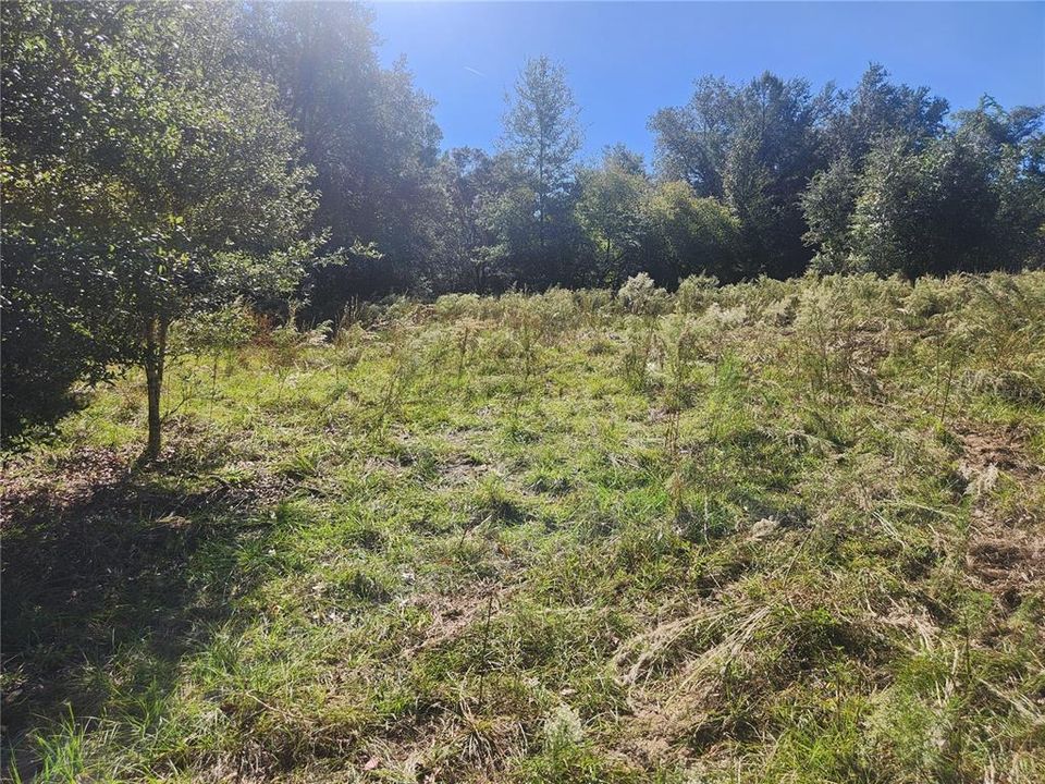 For Sale: $9,000 (0.23 acres)